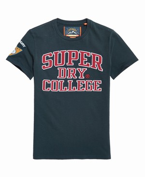 Superdry Upstate Wash Rövidujjú Férfi Pólók Sötétkék | EDNUA8427